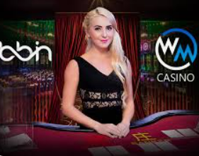 vwin德赢官网首页2024最新版